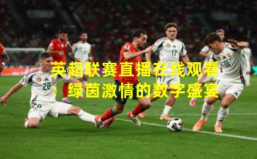 英超联赛直播在线观看：绿茵激情的数字盛宴