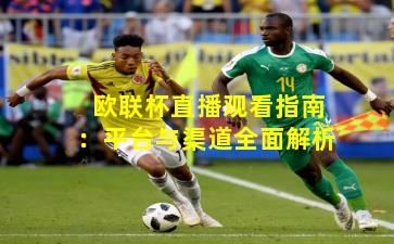 欧联杯直播观看指南:平台与渠道全面解析