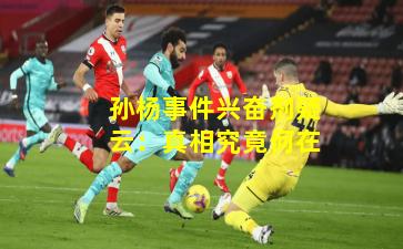 孙杨事件兴奋剂疑云:真相究竟何在