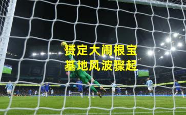 赟定大闹根宝基地风波骤起